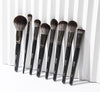ULTIMATE BRUSH COLLECTION