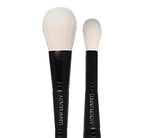 DUAL ENDED BRUSH